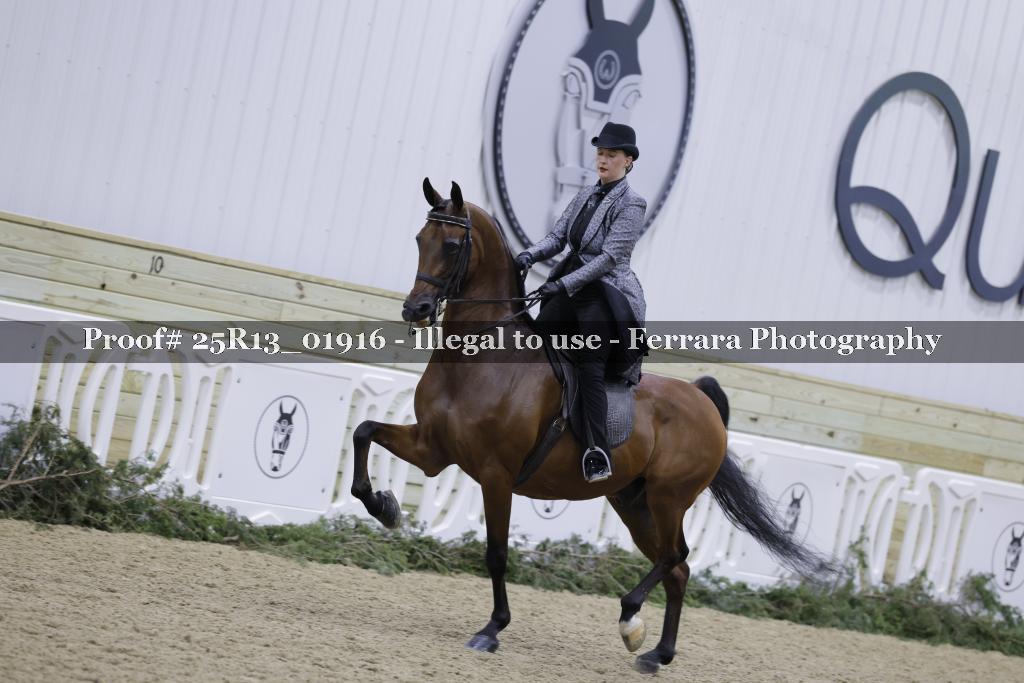 Proof 25R13_01916