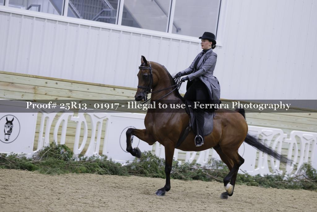 Proof 25R13_01917