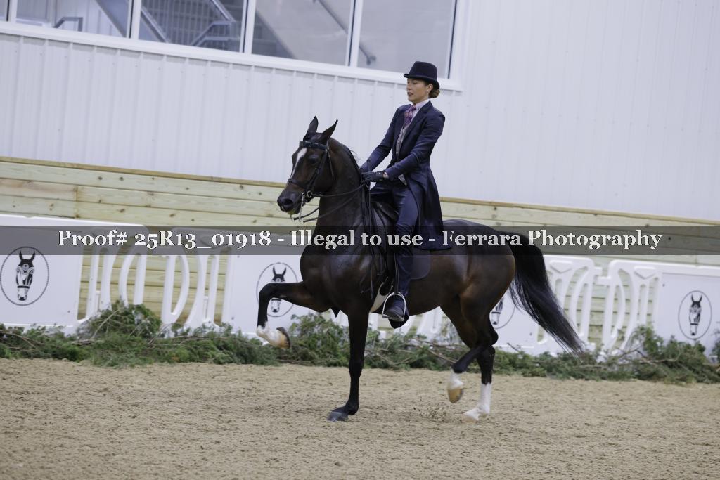 Proof 25R13_01918