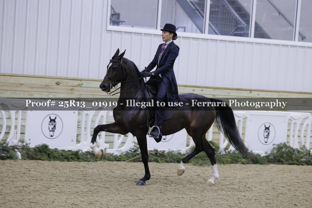 Proof 25R13_01919