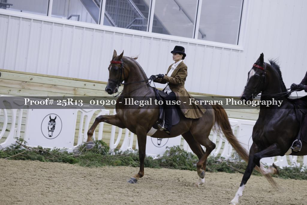 Proof 25R13_01920