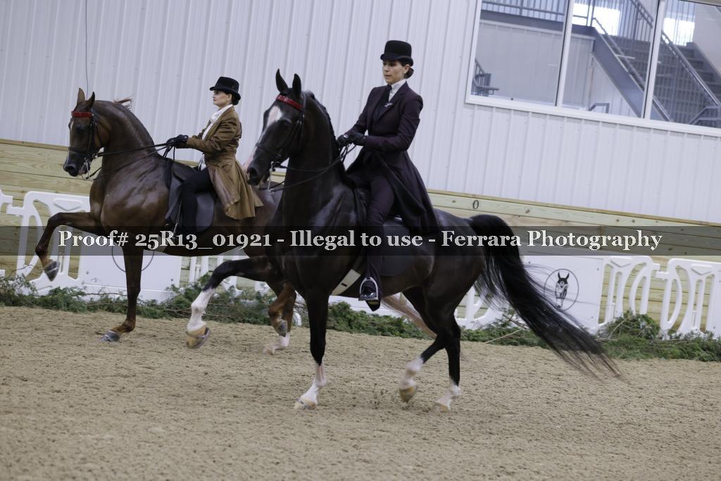 Proof 25R13_01921