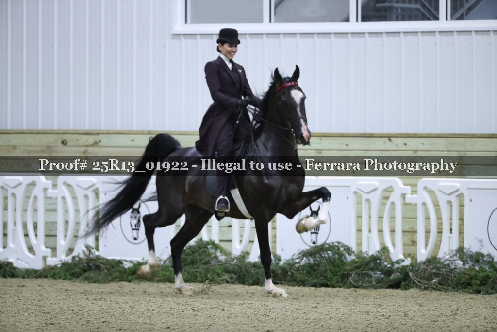 Proof 25R13_01922