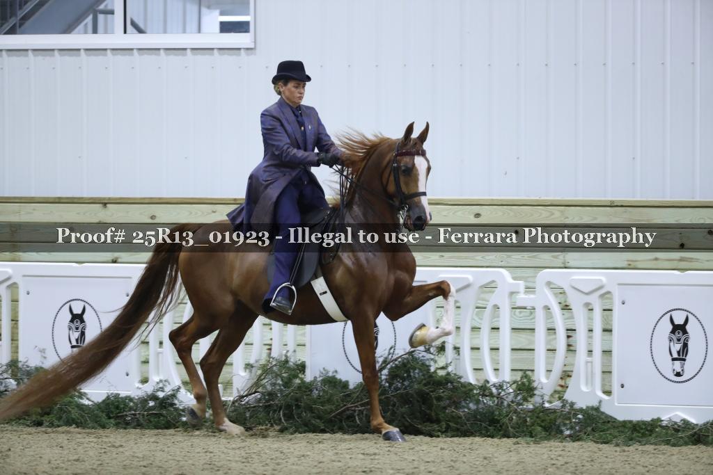 Proof 25R13_01923