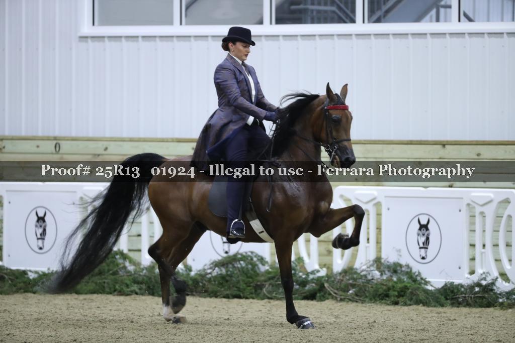 Proof 25R13_01924