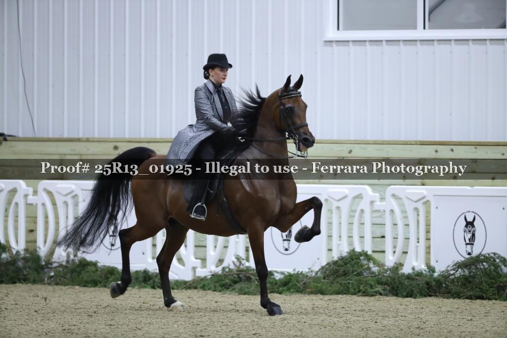 Proof 25R13_01925