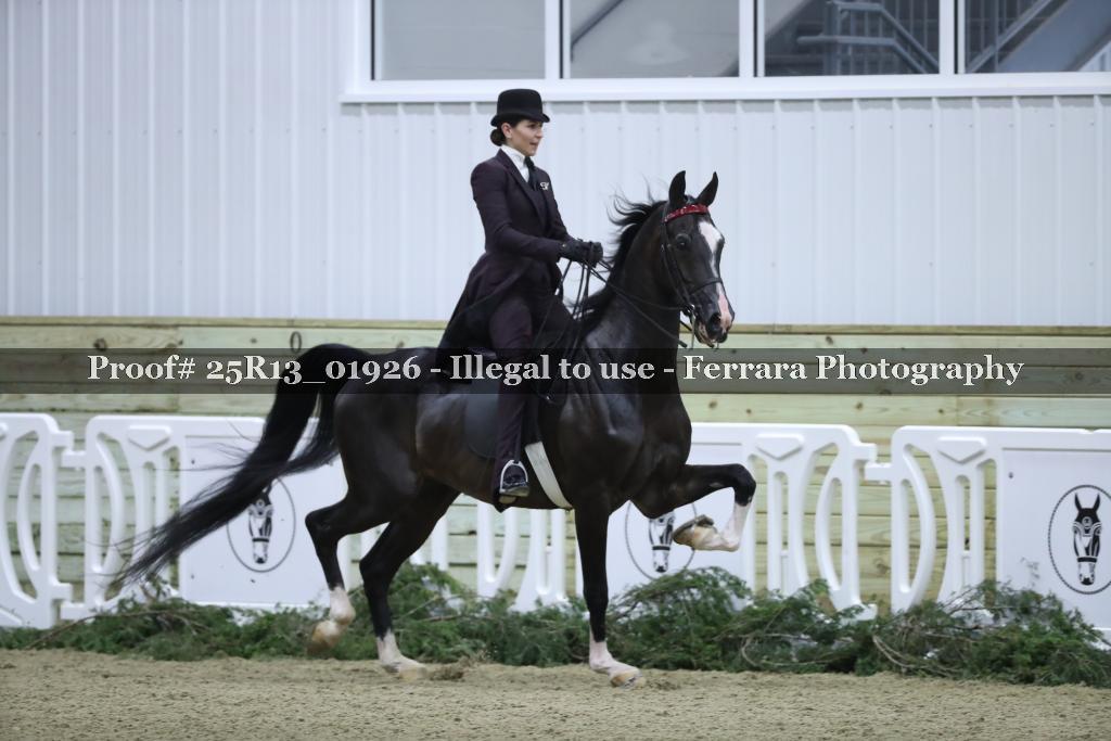 Proof 25R13_01926