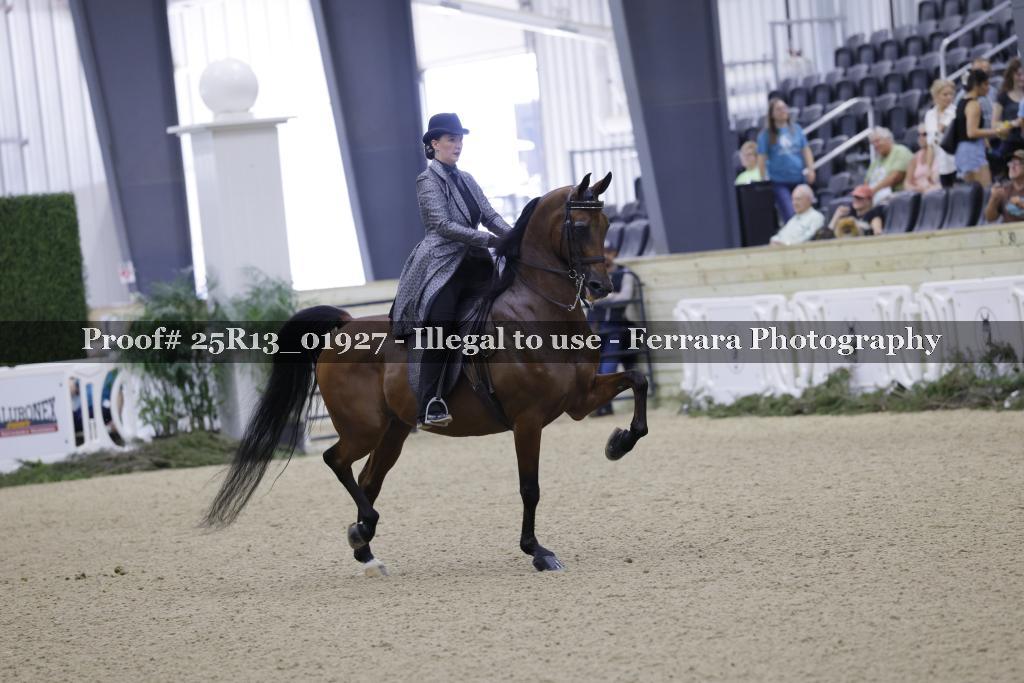 Proof 25R13_01927