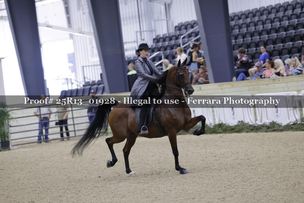 Proof 25R13_01928