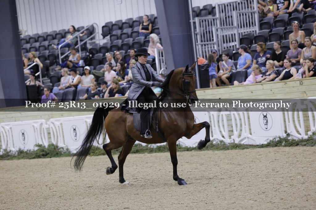 Proof 25R13_01929