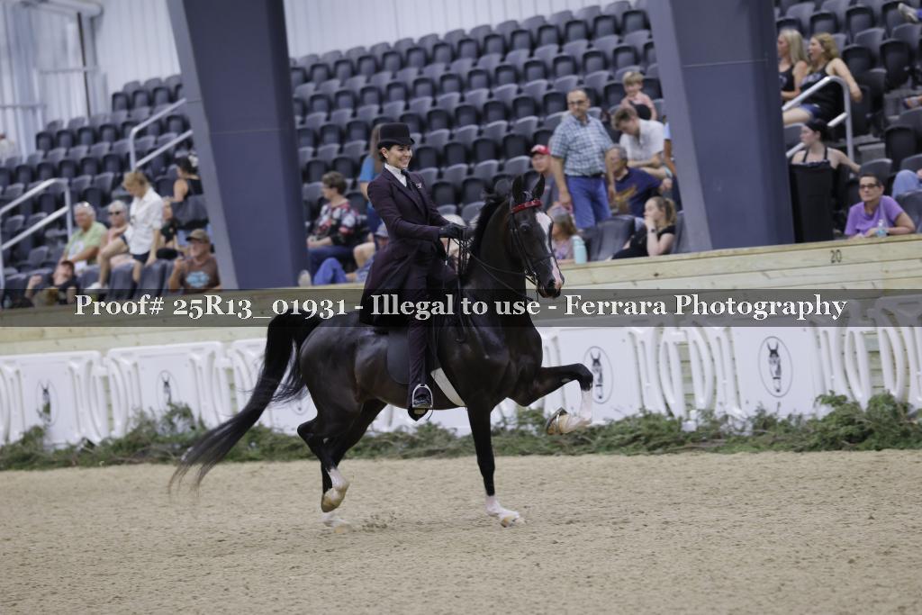 Proof 25R13_01931