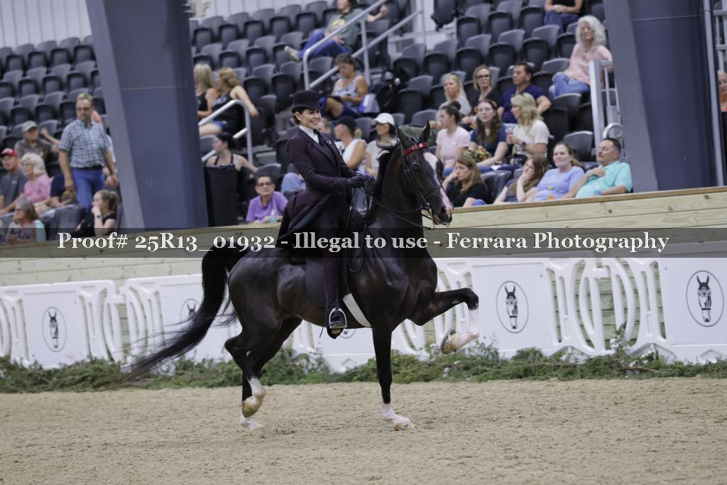 Proof 25R13_01932