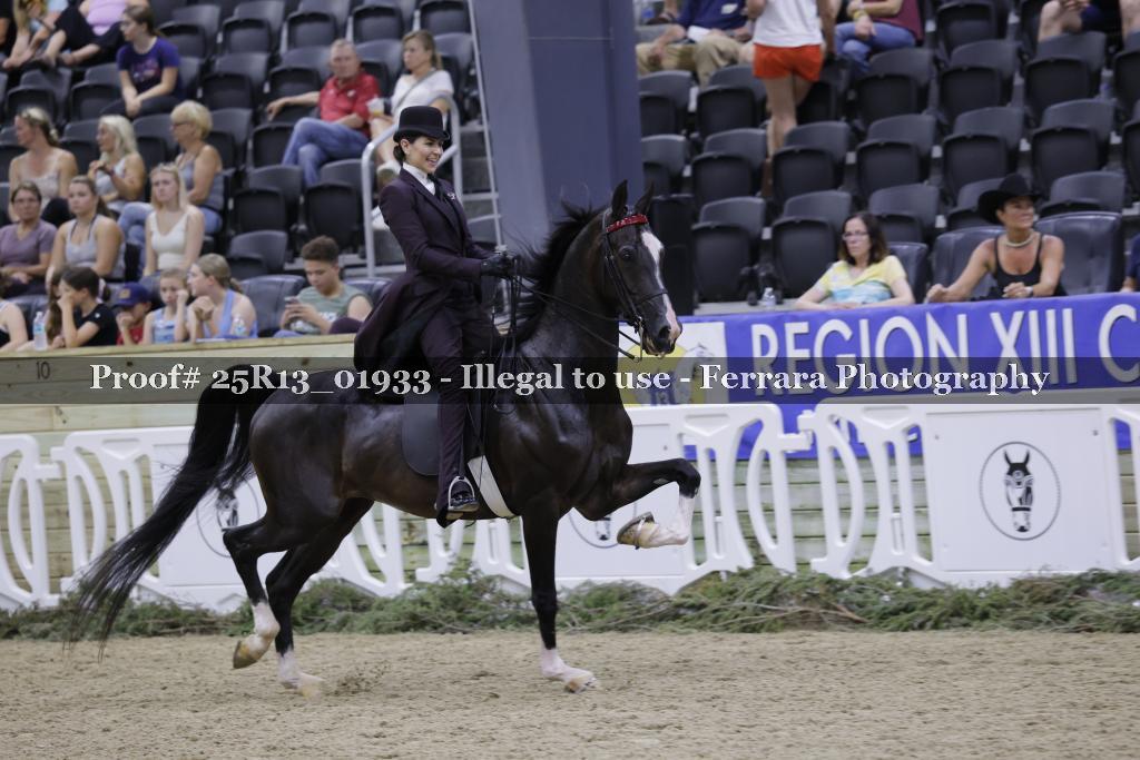 Proof 25R13_01933