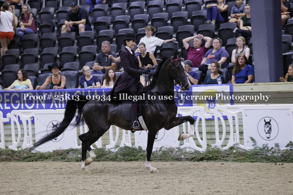 Proof 25R13_01934
