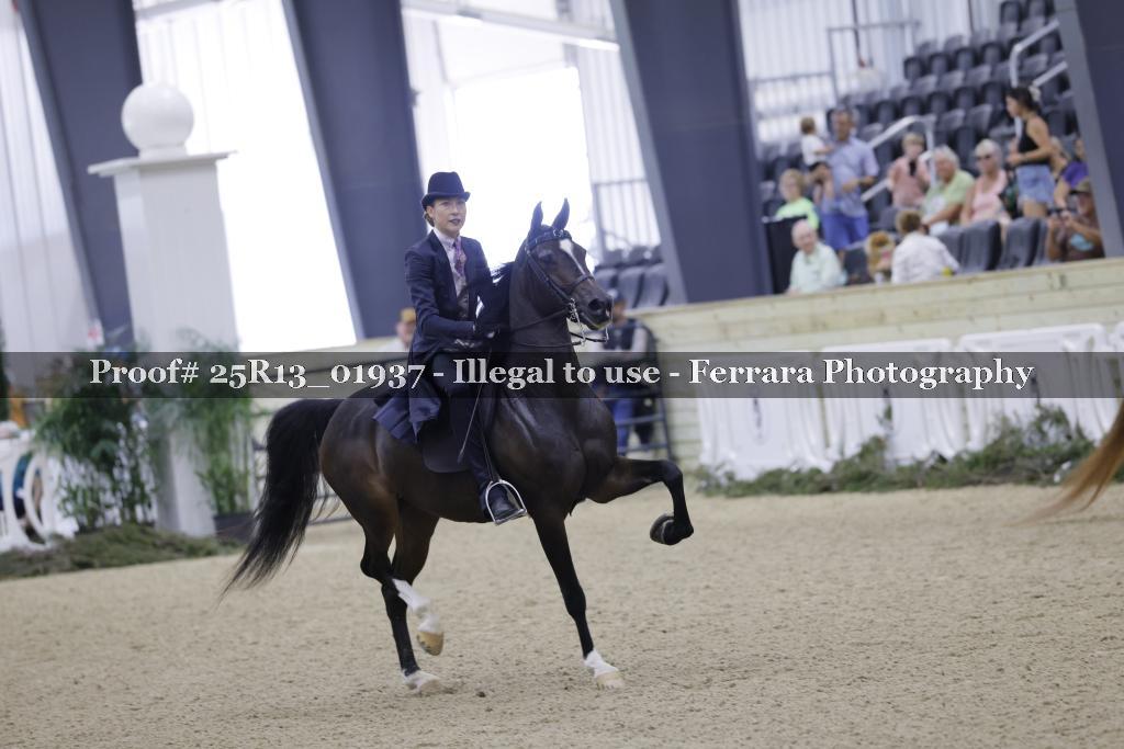 Proof 25R13_01937