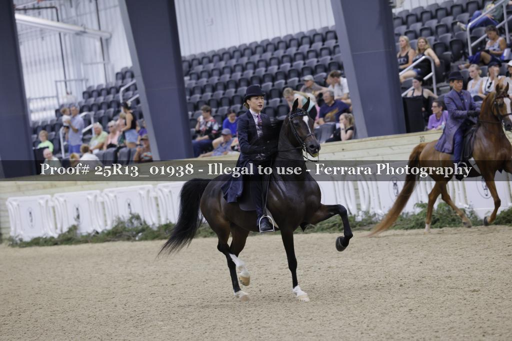 Proof 25R13_01938