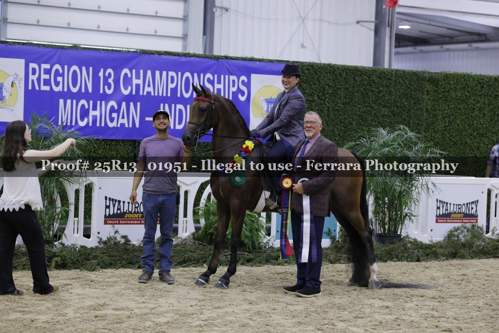 Proof 25R13_01951