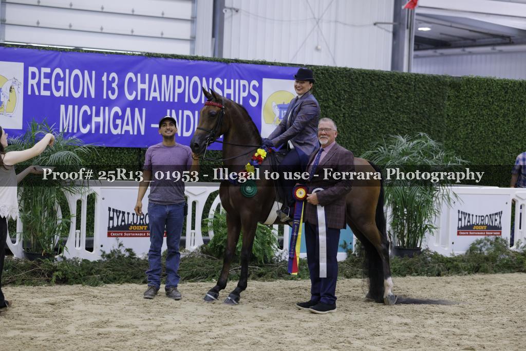 Proof 25R13_01953