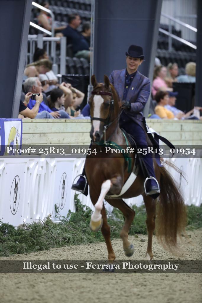 Proof 25R13_01954