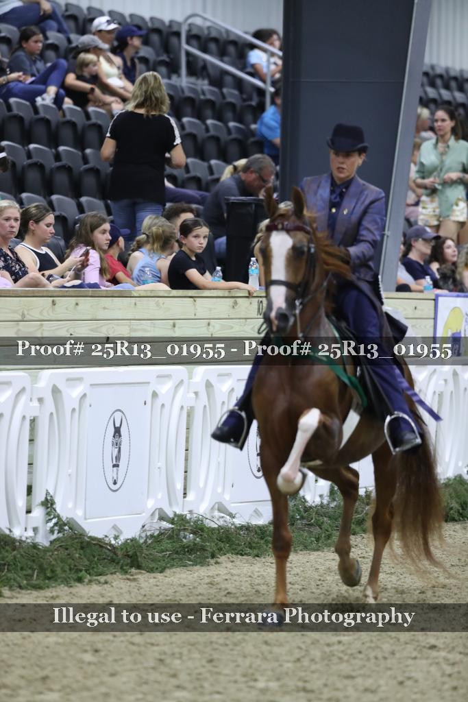 Proof 25R13_01955