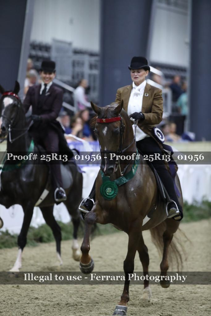 Proof 25R13_01956