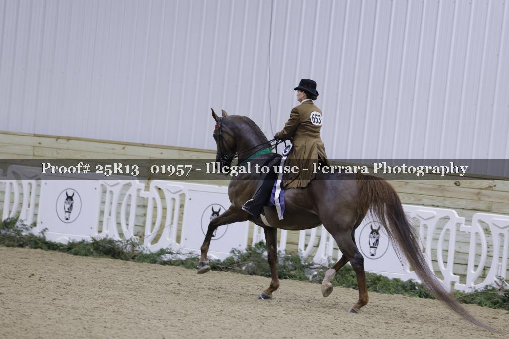 Proof 25R13_01957