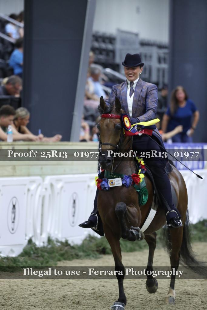 Proof 25R13_01977