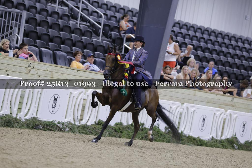 Proof 25R13_01993