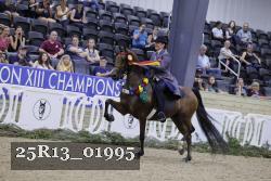 25R13_01995 proof