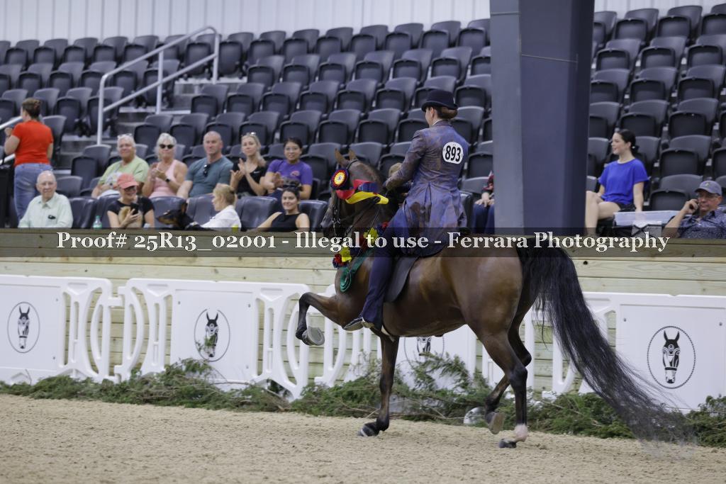 Proof 25R13_02001