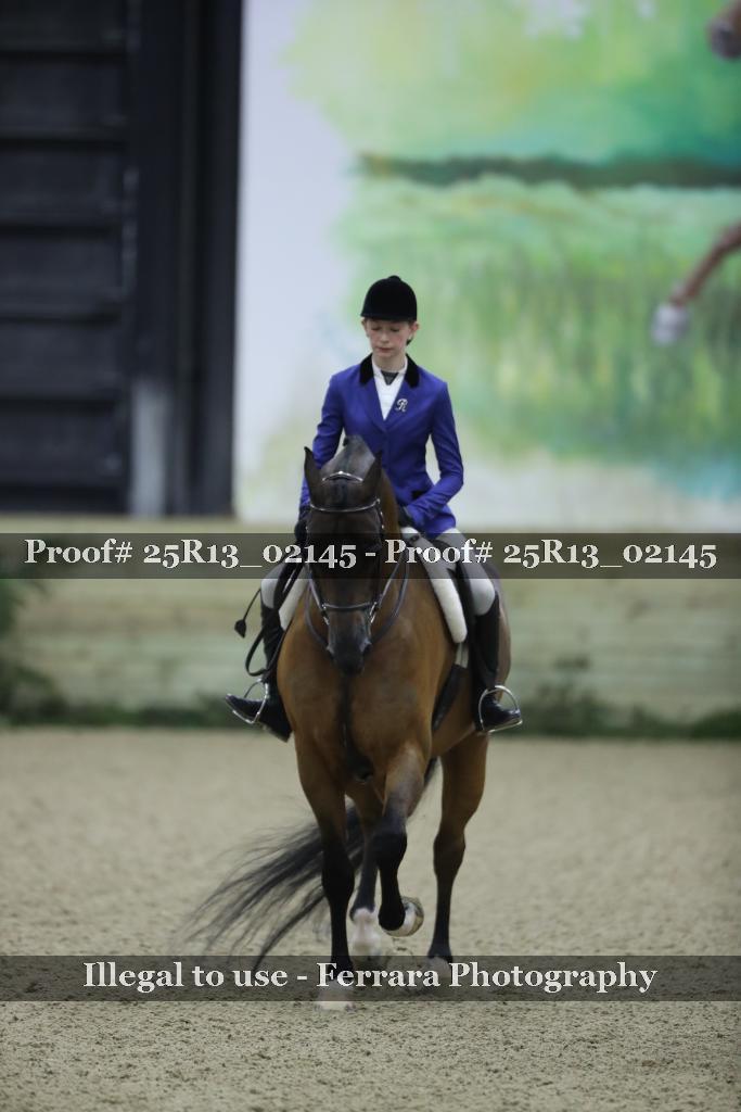 Proof 25R13_02145