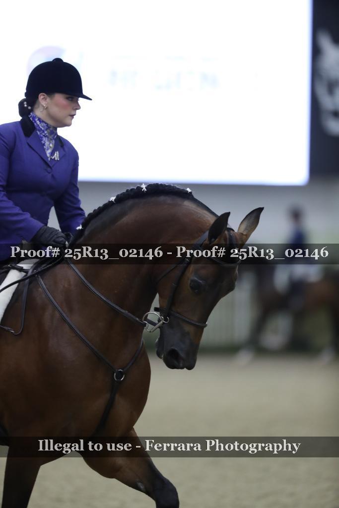 Proof 25R13_02146