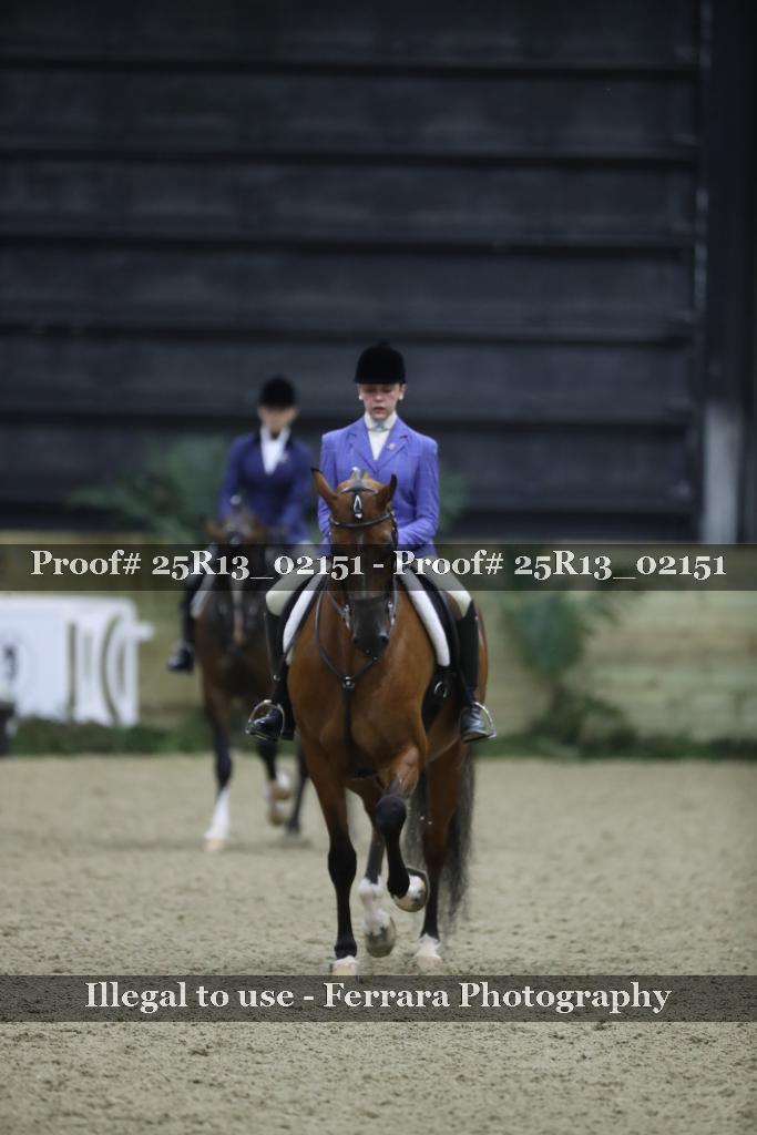 Proof 25R13_02151