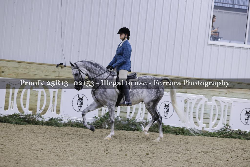 Proof 25R13_02153
