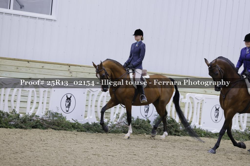 Proof 25R13_02154
