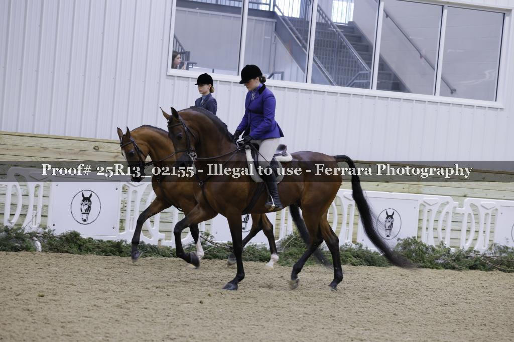 Proof 25R13_02155