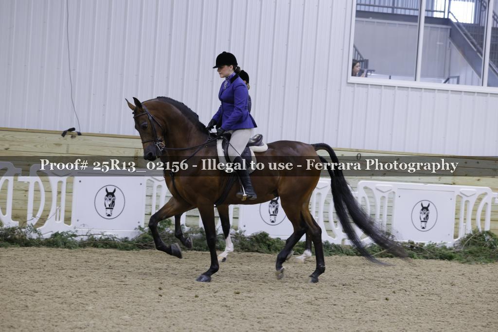 Proof 25R13_02156