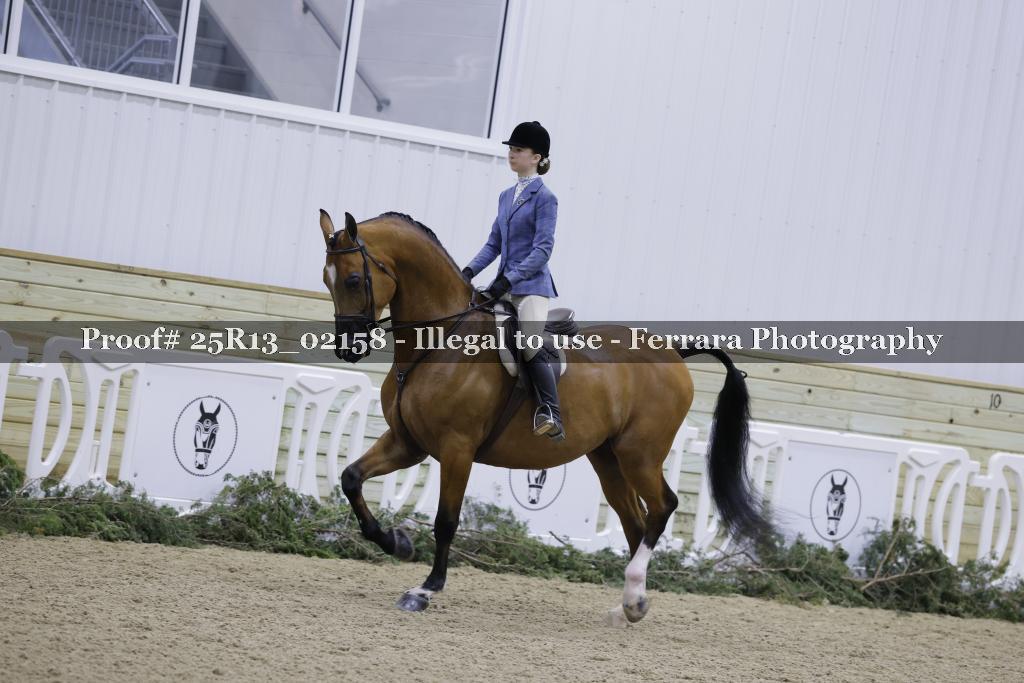 Proof 25R13_02158