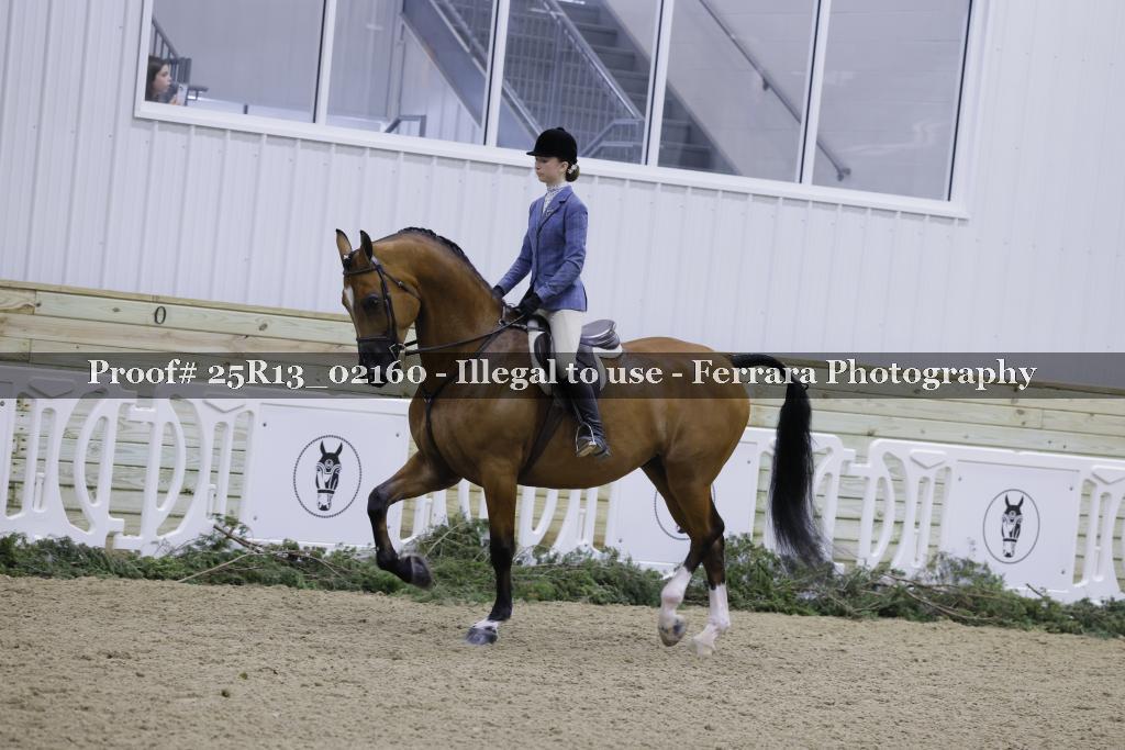 Proof 25R13_02160