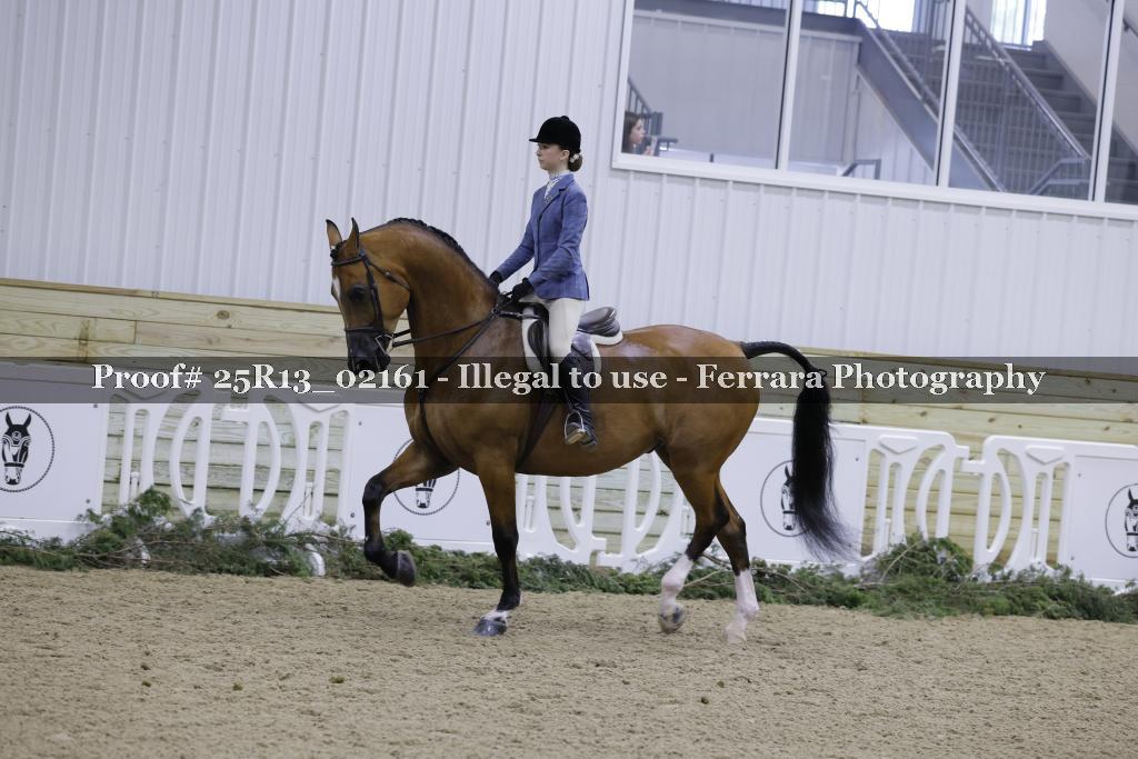 Proof 25R13_02161