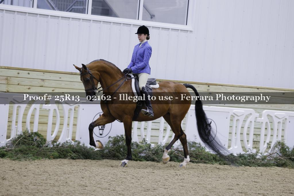 Proof 25R13_02162