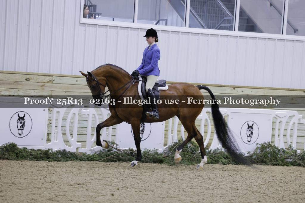 Proof 25R13_02163