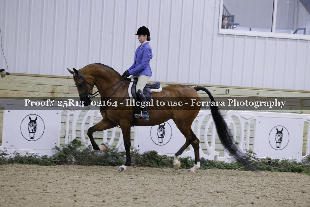 Proof 25R13_02164