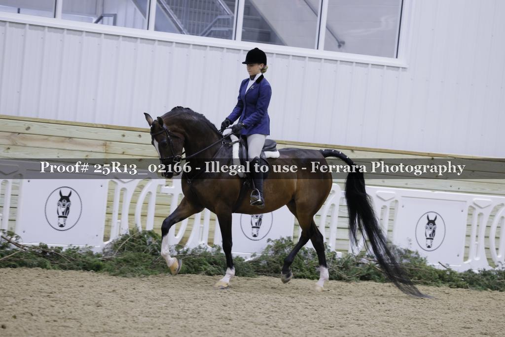 Proof 25R13_02166