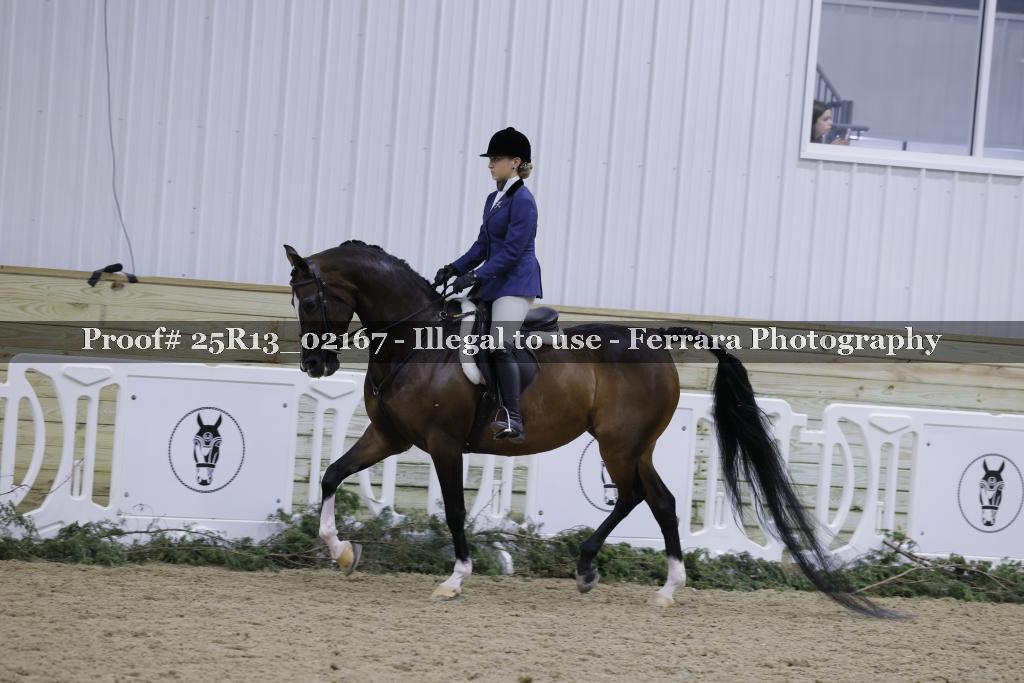 Proof 25R13_02167