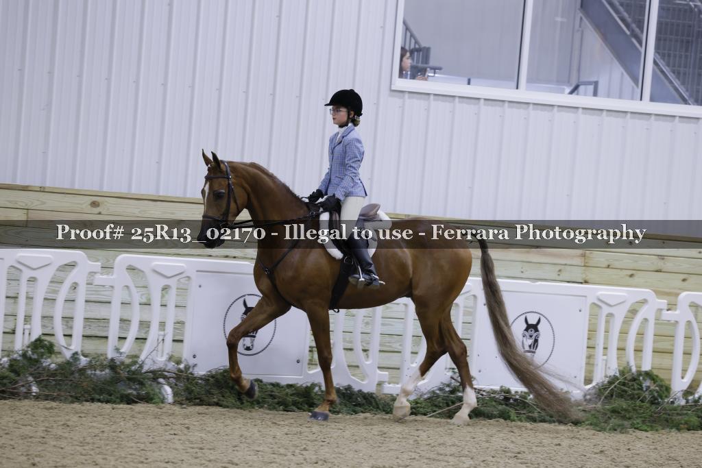 Proof 25R13_02170