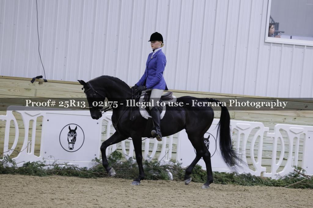 Proof 25R13_02175