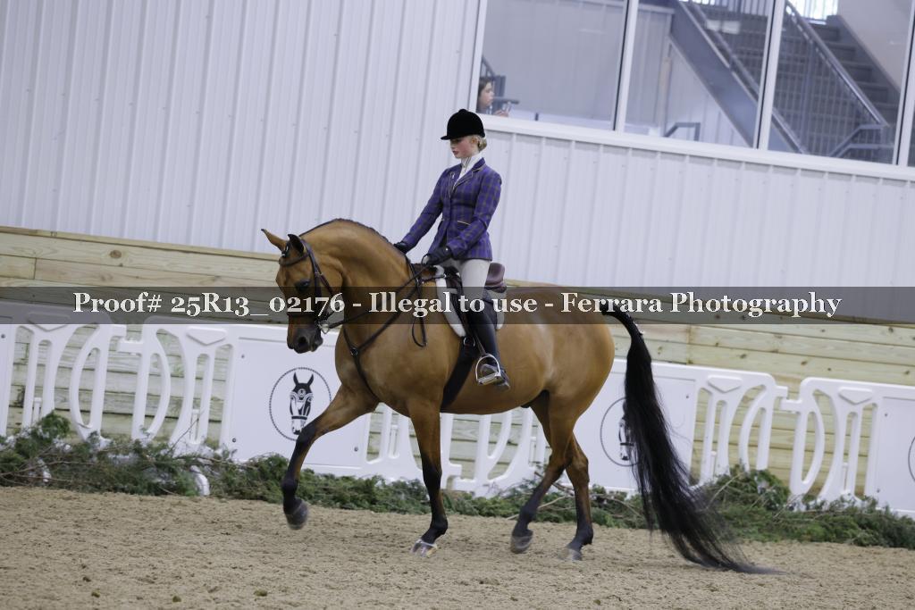 Proof 25R13_02176