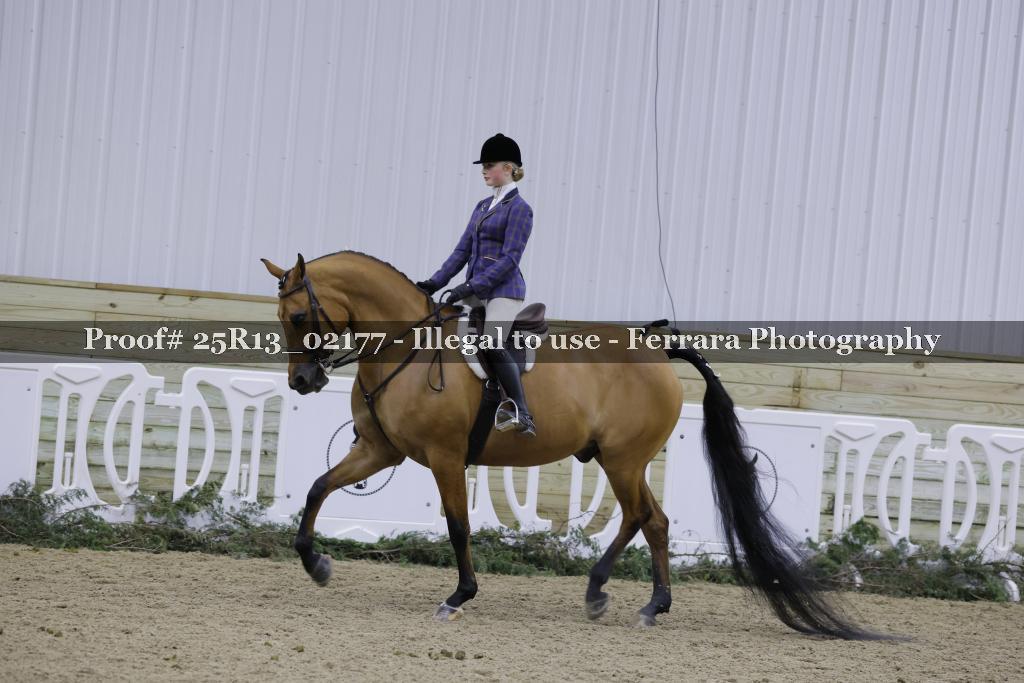 Proof 25R13_02177