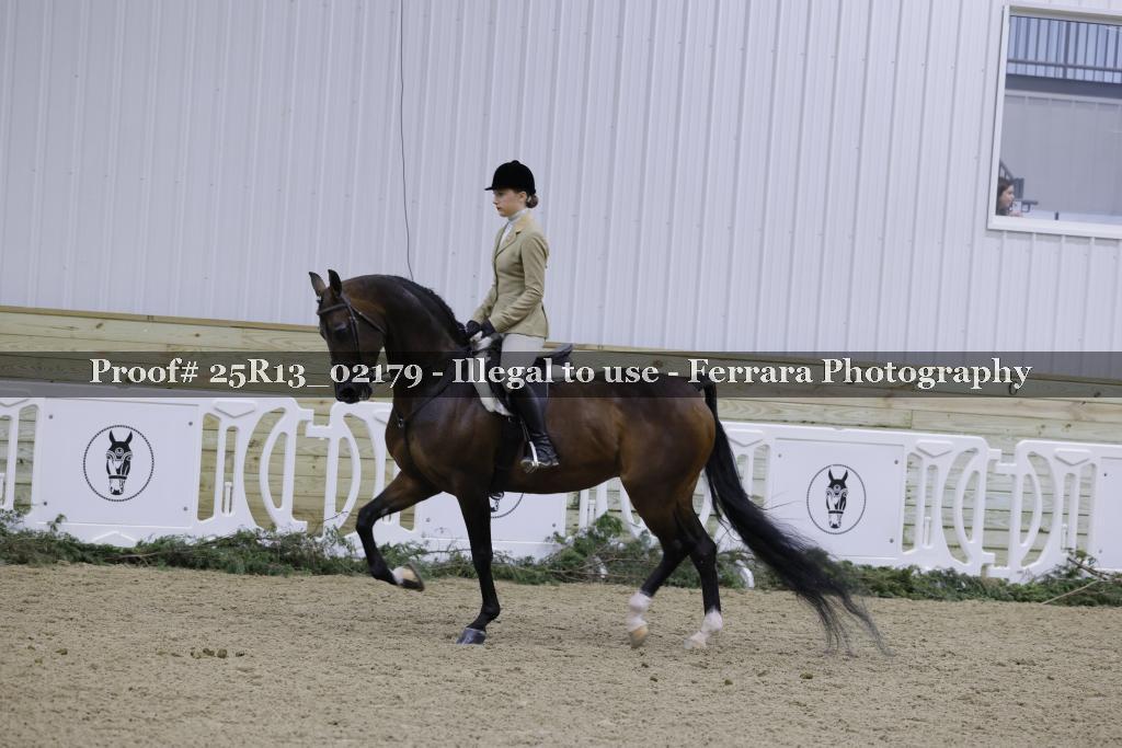 Proof 25R13_02179